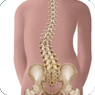 App Image